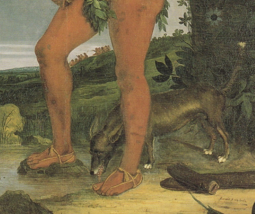 "Mulher Tapuia", Albert Eckhout, detalhe.
