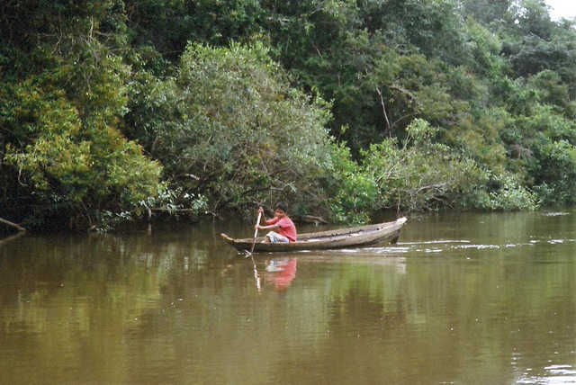 aroto Apiaká, rio dos Peixes, Terra Indígena Apiaká-Kaiabi, Juara, Mato Grosso.