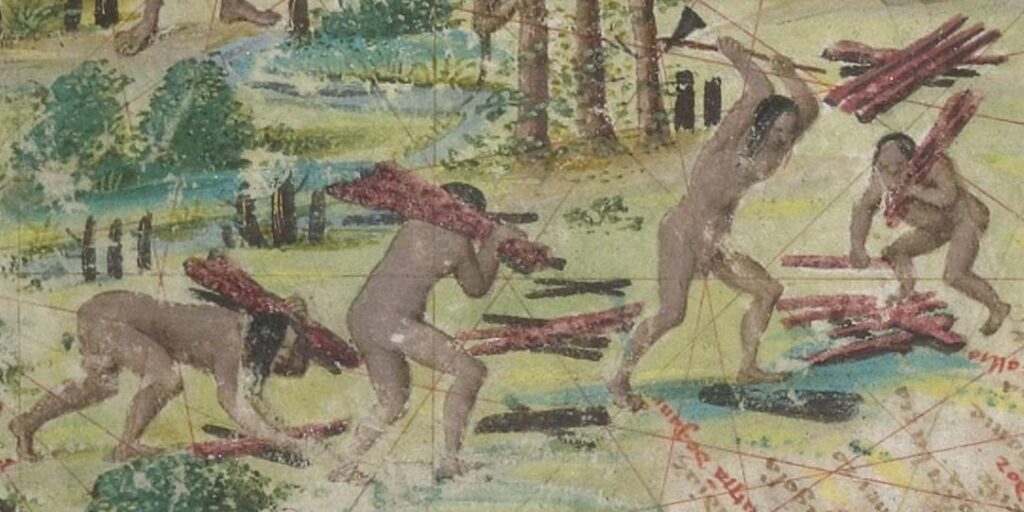 Terra Brasilis, Atlas Miller, 1519, detalhe