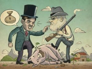 Guerra do Porco