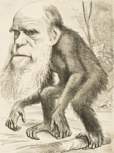 Caricatura de Darwin